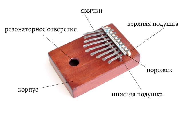 Устройство музыкального инструмента калимба