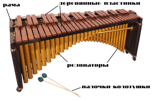 Строение музыкального инструмента маримба